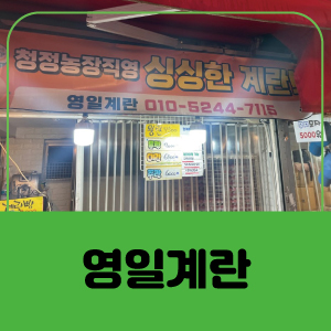 영일계란 이미지
