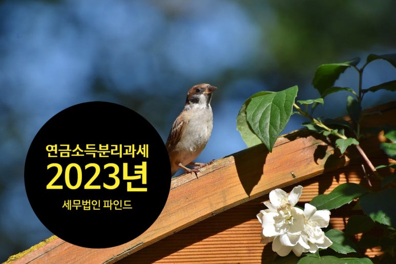 세무법인파인드 이미지