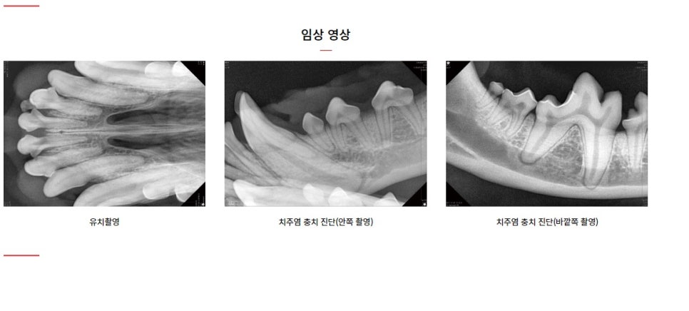 워너비치과 이미지