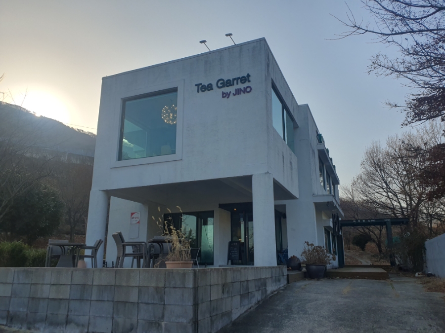 티가렛바이지노 이미지