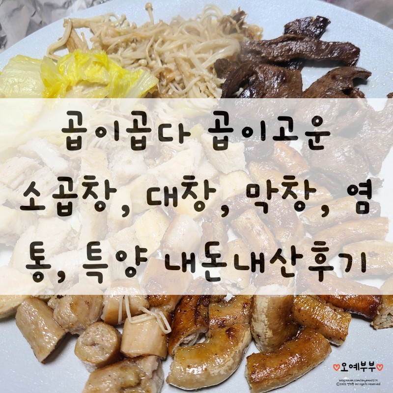 곱이곱다 이미지