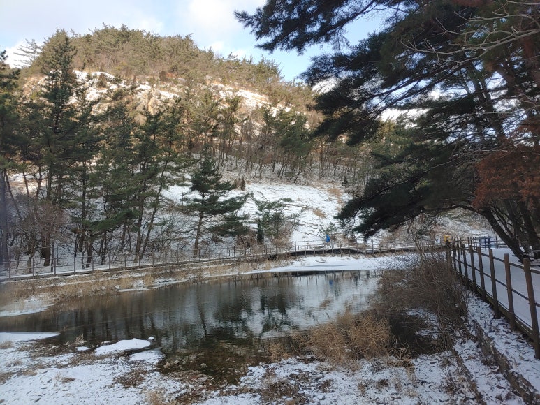 아름다운 산책 이미지