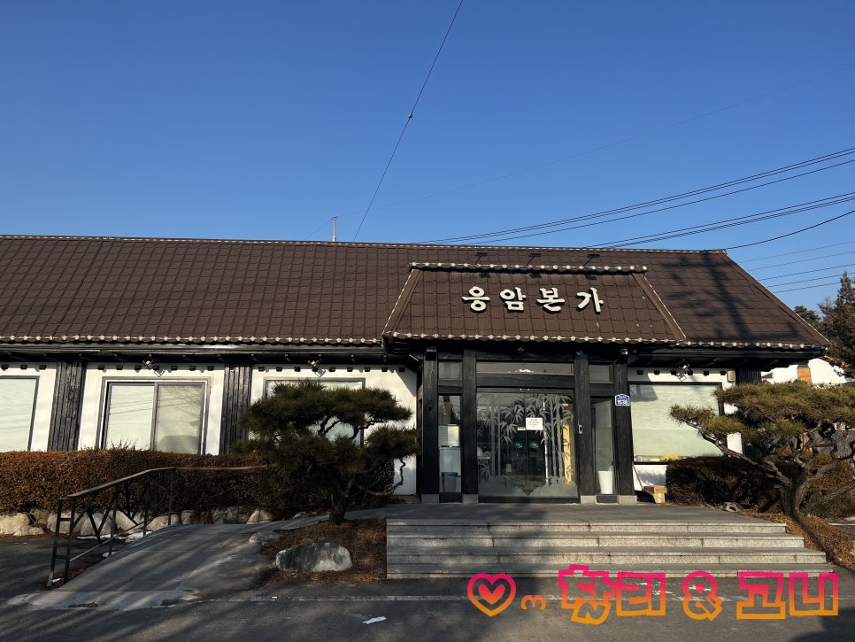 고릴라응암 이미지