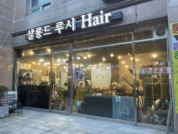 홍주청과 이미지