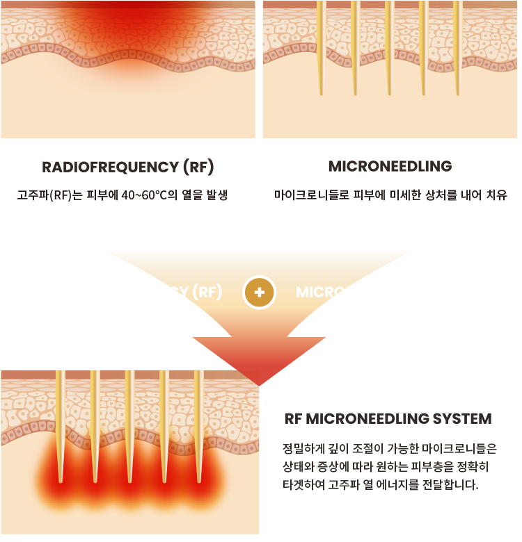 아너스티성형외과의원 이미지