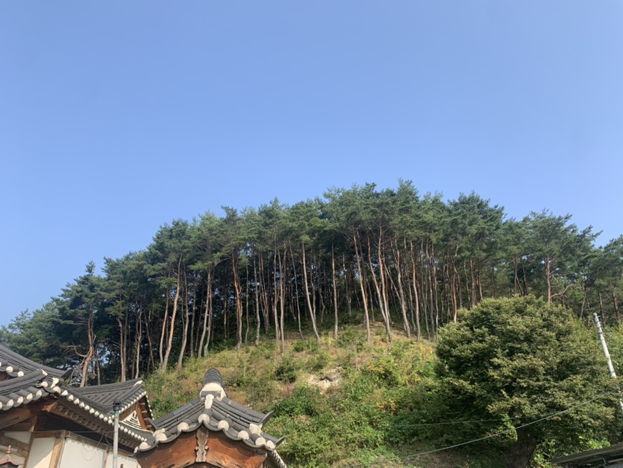 온계종택삼백당 이미지