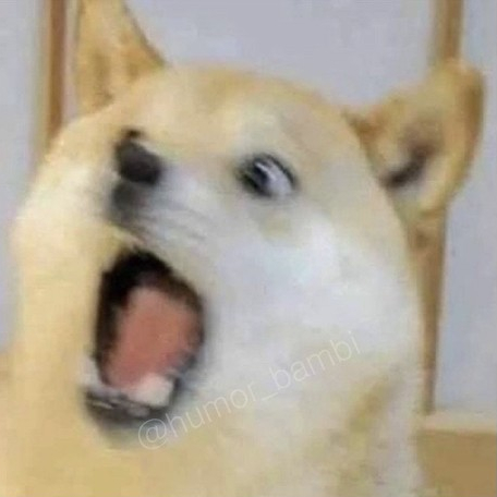 플라워로드 이미지
