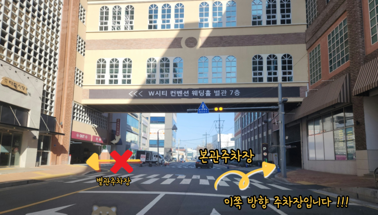 스팀파워울산메가마트점신선도원몰 이미지