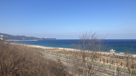 동해그릇 이미지