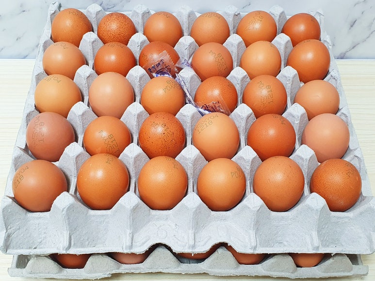 진안촌 이미지