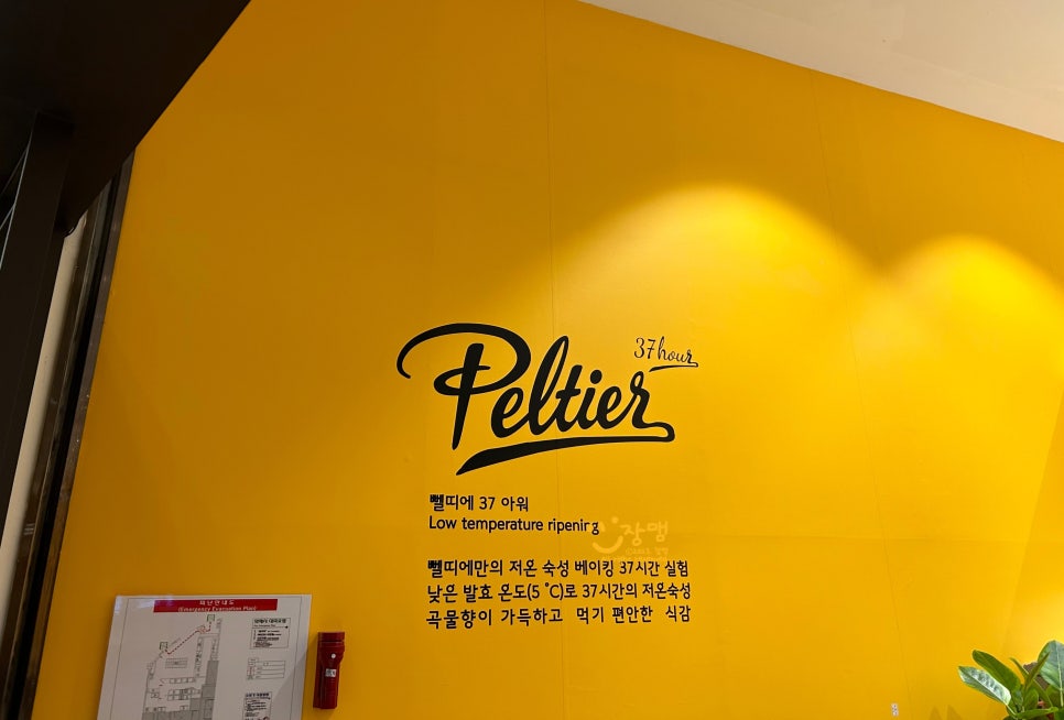 벨띠에 이미지