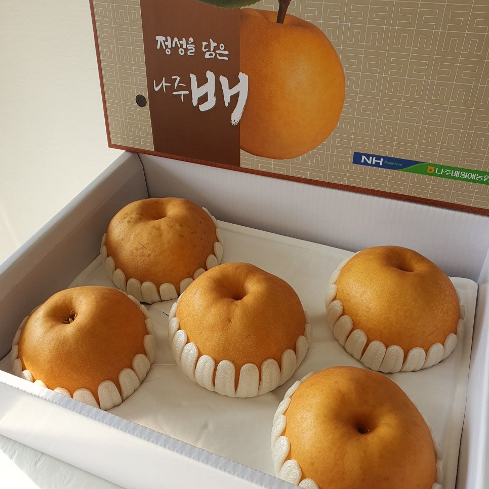 쭈니푸드 이미지
