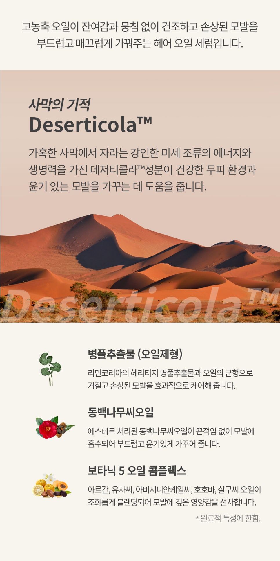 조이풀헤어 이미지