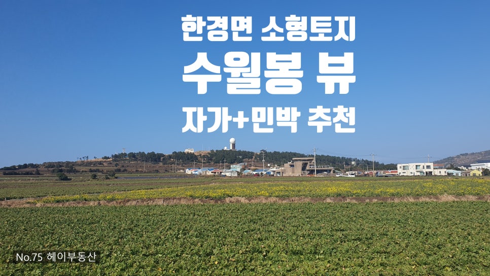 수월봉민박 이미지
