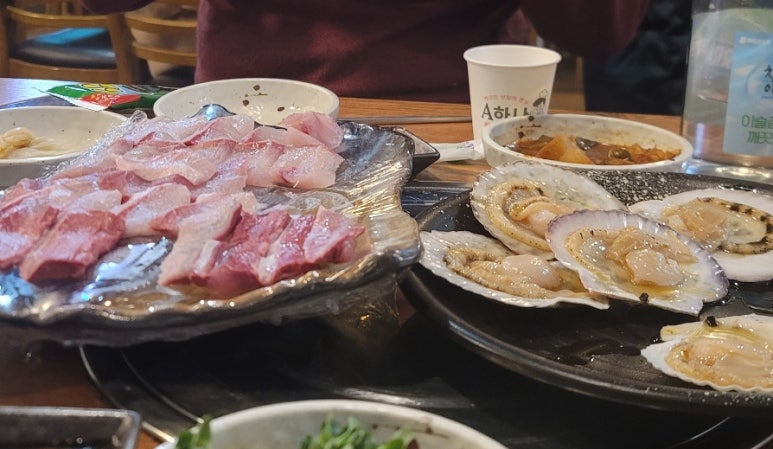 활어특별시 이미지