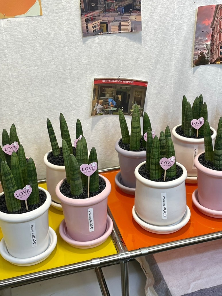 유진화원 이미지