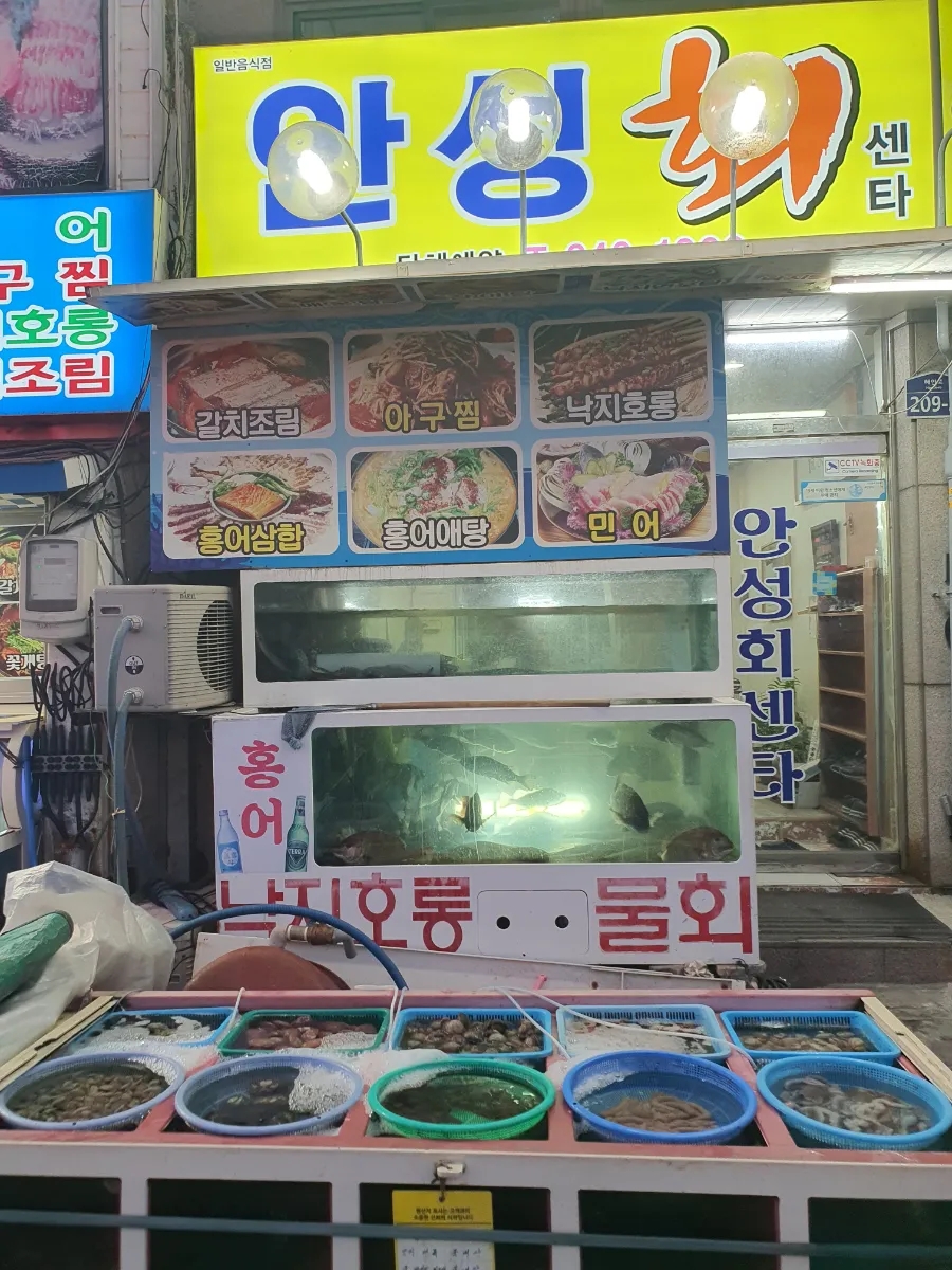 안성회센타 이미지