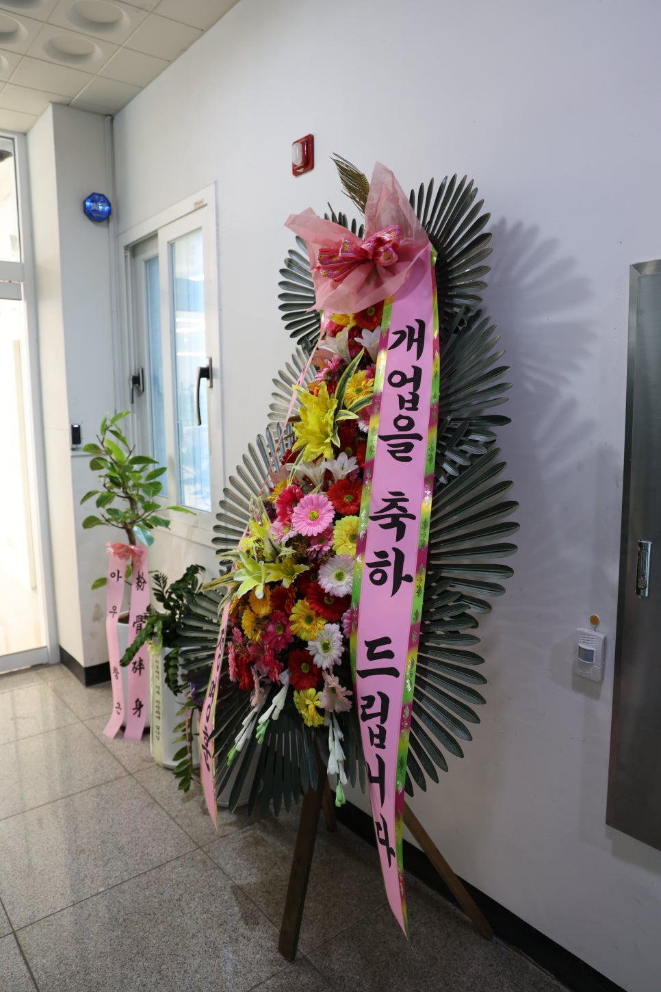 벨류헤어 이미지