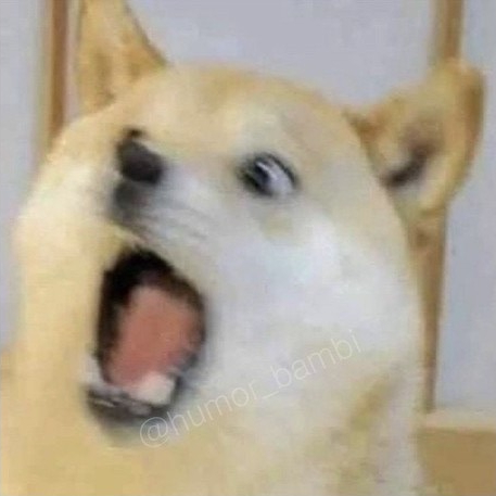 플라워로드 이미지