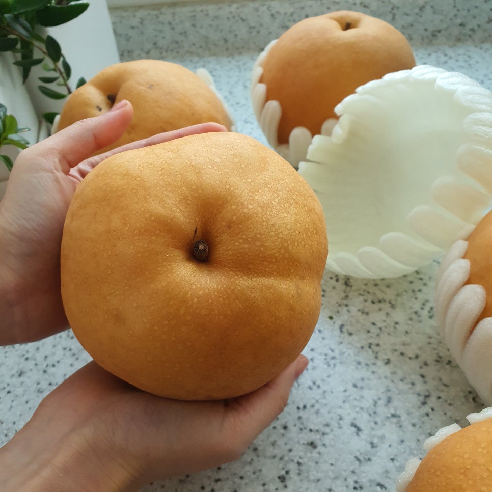 쭈니푸드 이미지