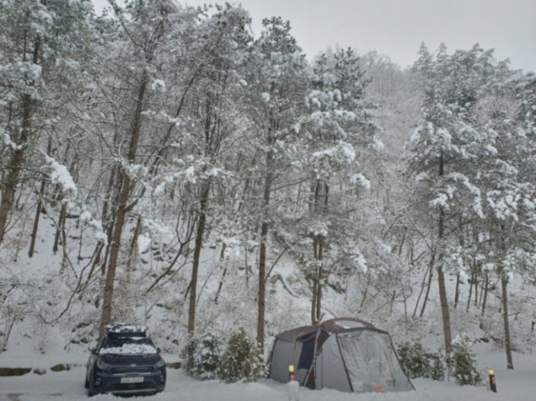 산정호수돌고래캠핑장;관광농원 이미지