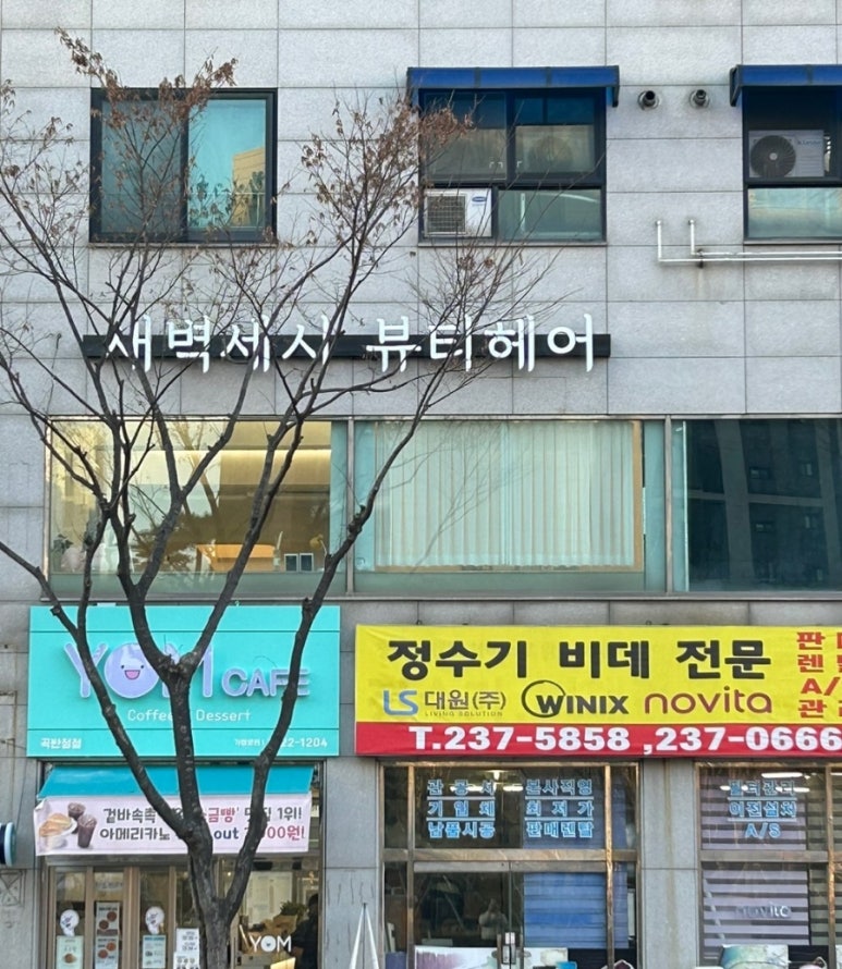 세시헤어 이미지
