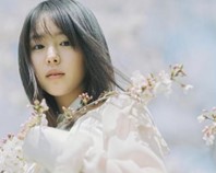 사쿠라(SAKURA) 이미지