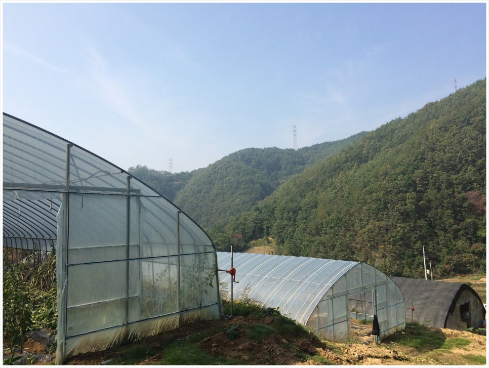 정도가설 이미지