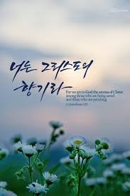 성도건축인테리어 이미지