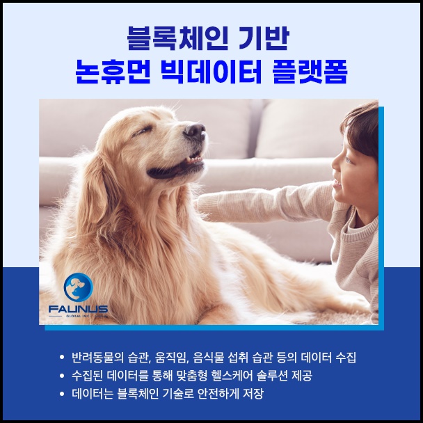 휴먼빅데이터 이미지