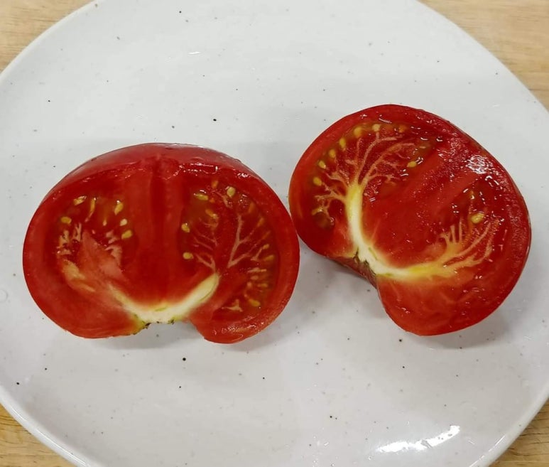 평화농장 이미지