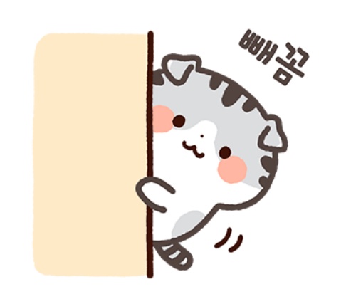 나눔정보 이미지