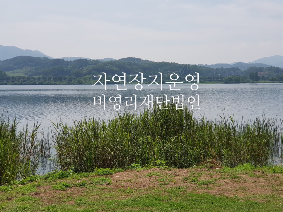 법인자연 이미지