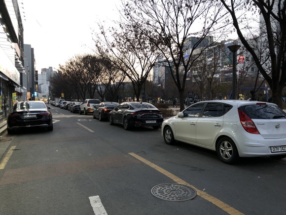 일등돼지 이미지