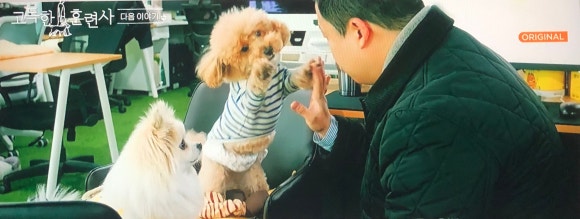 (주)스튜디오에피소드 이미지