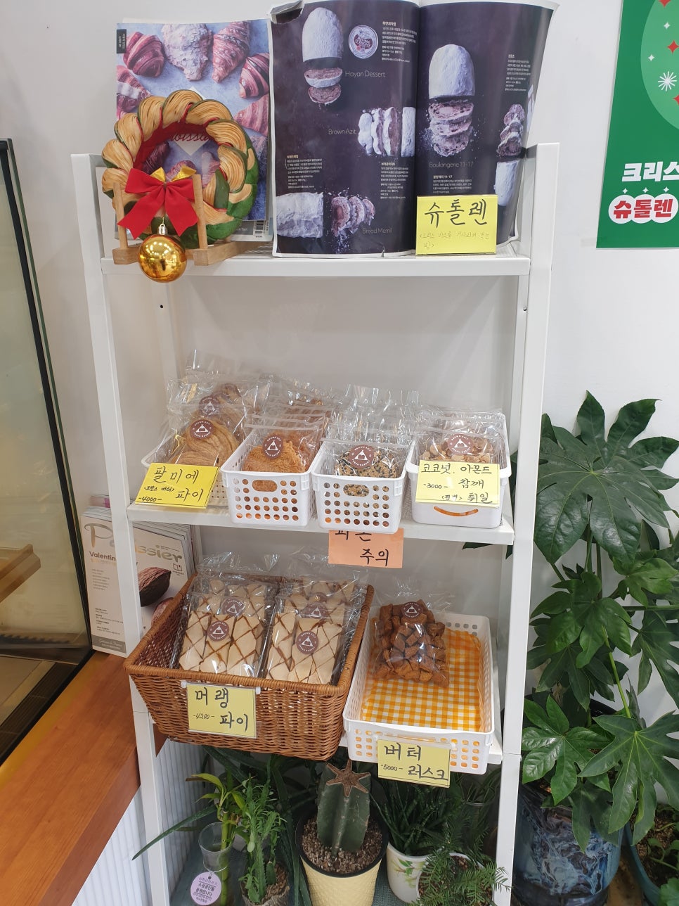 브라운아지트 이미지