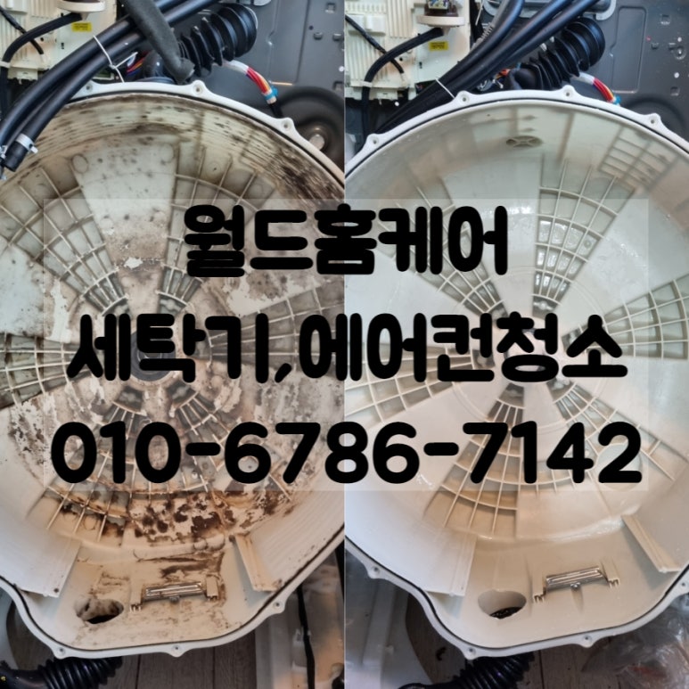 월드홈케어 이미지