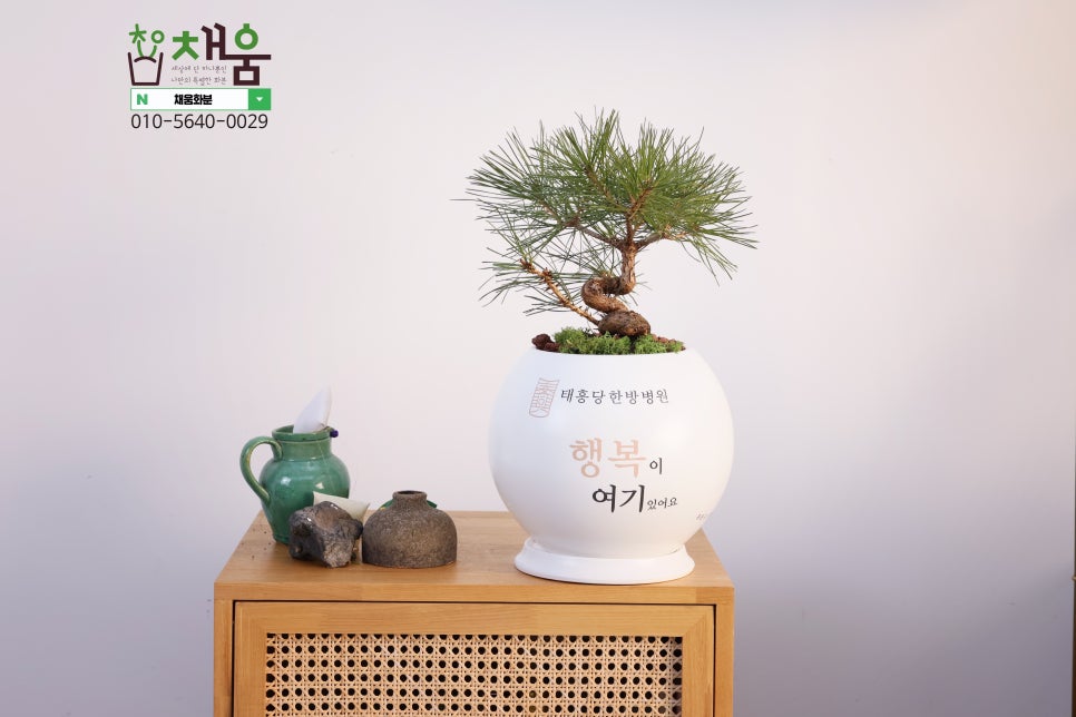 채움한방병원 이미지