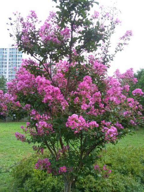 나무법무사사무소 이미지