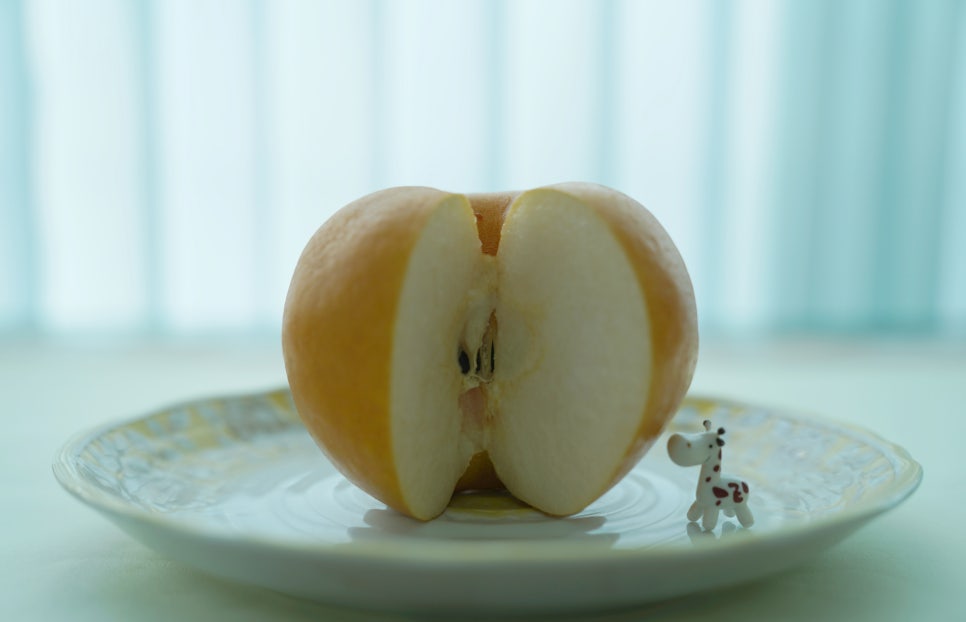 필수장터 이미지