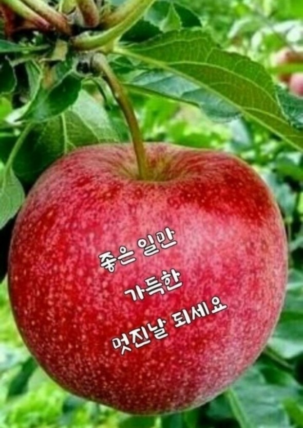 동방유통 이미지