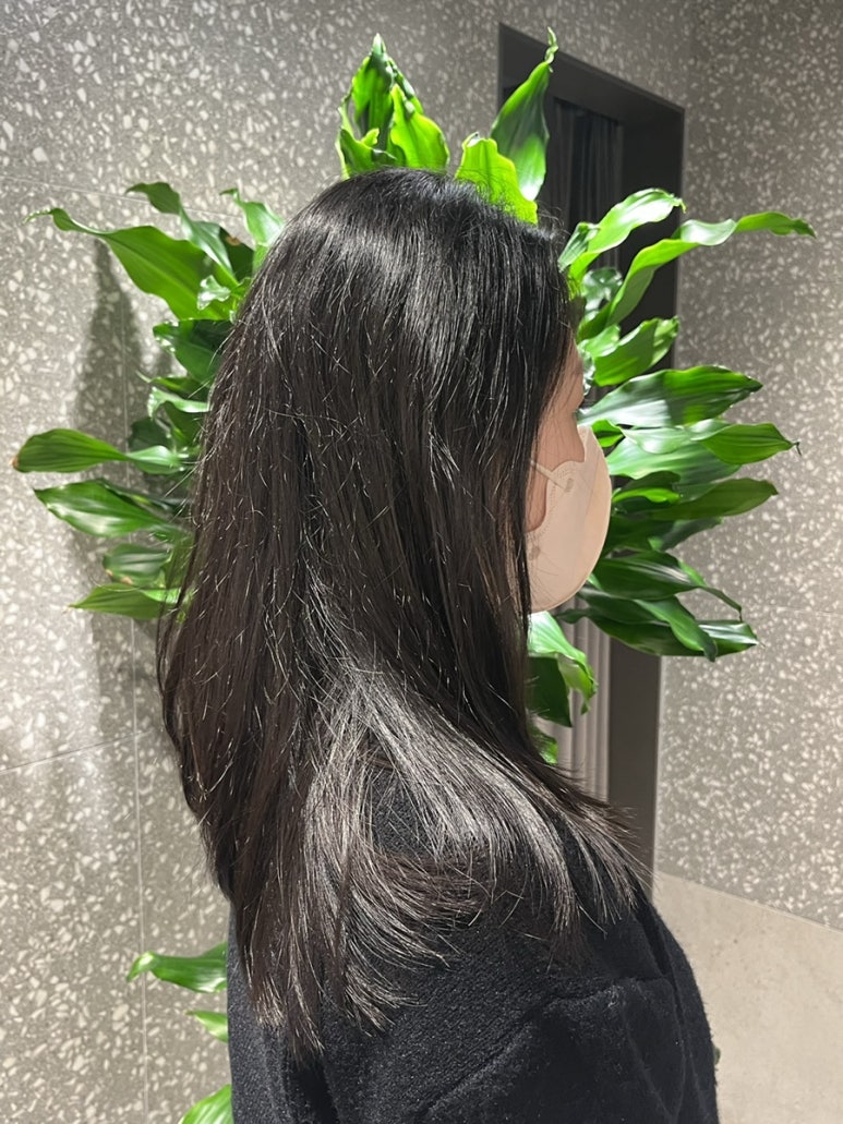 세하디자인 이미지
