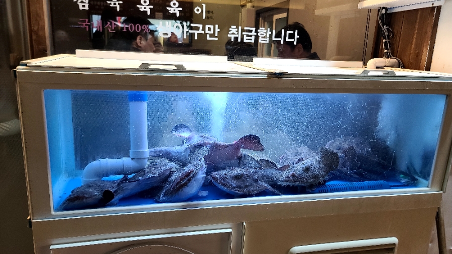 정가네 찜하는포차 이미지