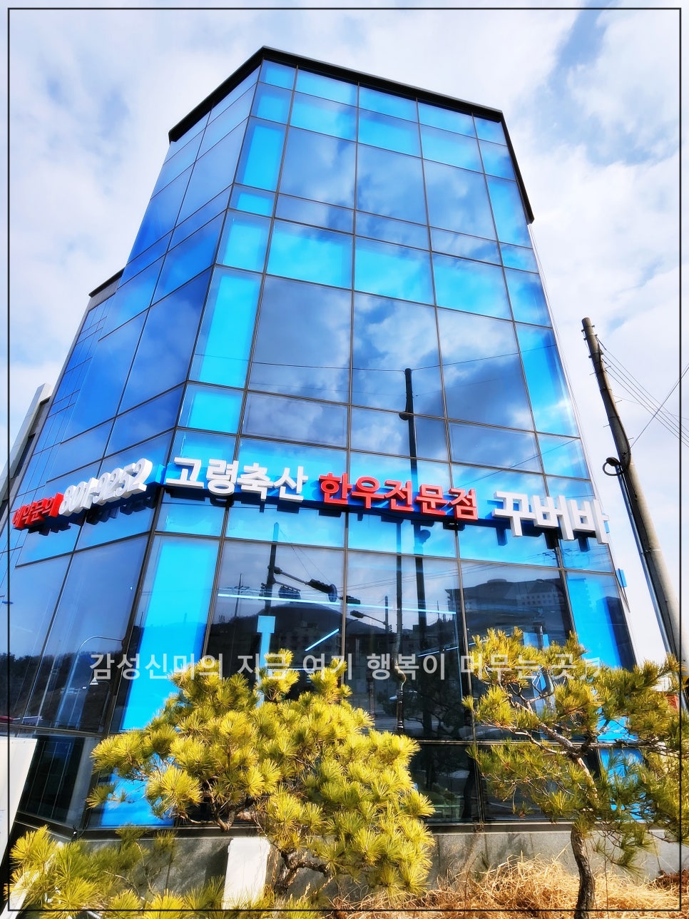 한우꾸버바 이미지