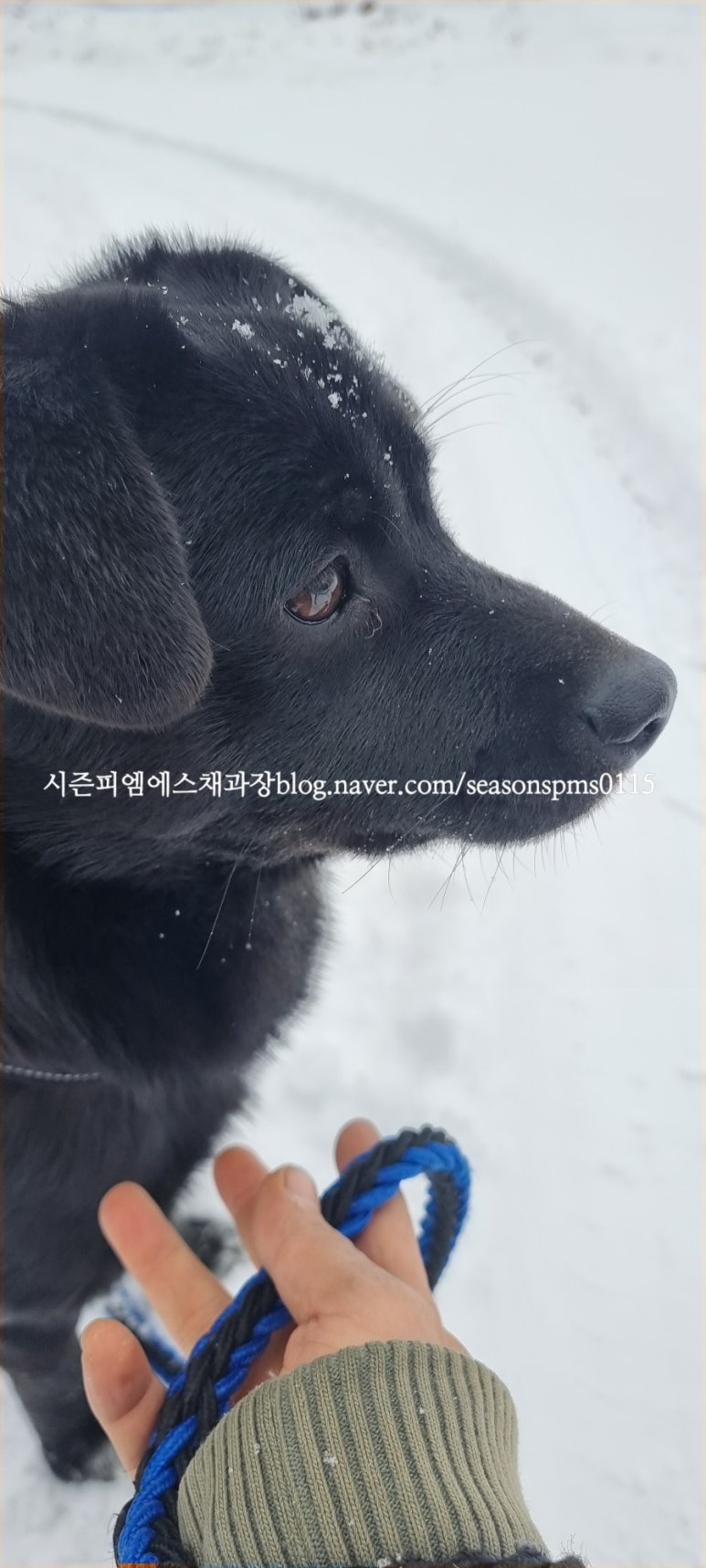 피엠에스 이미지
