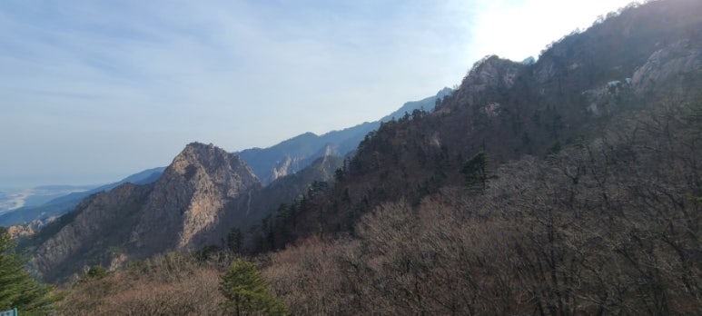 강원도오징어순대 이미지