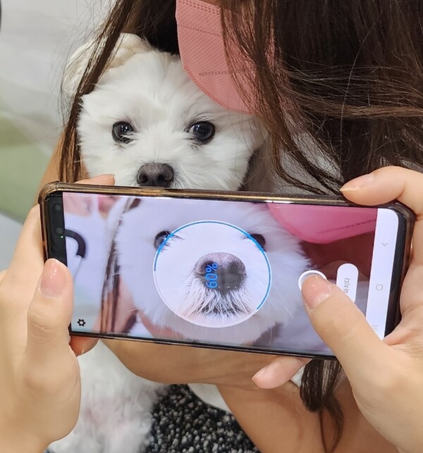 더랩아이 이미지