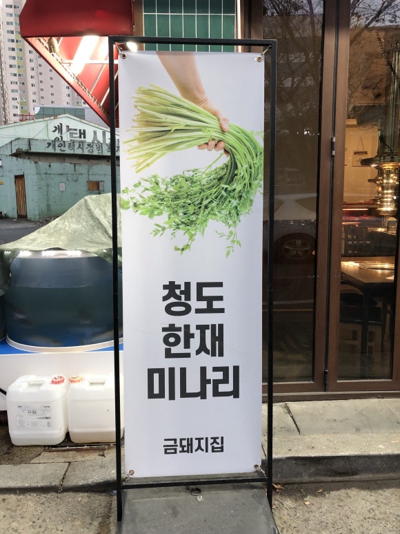 금돼지은돼지 이미지