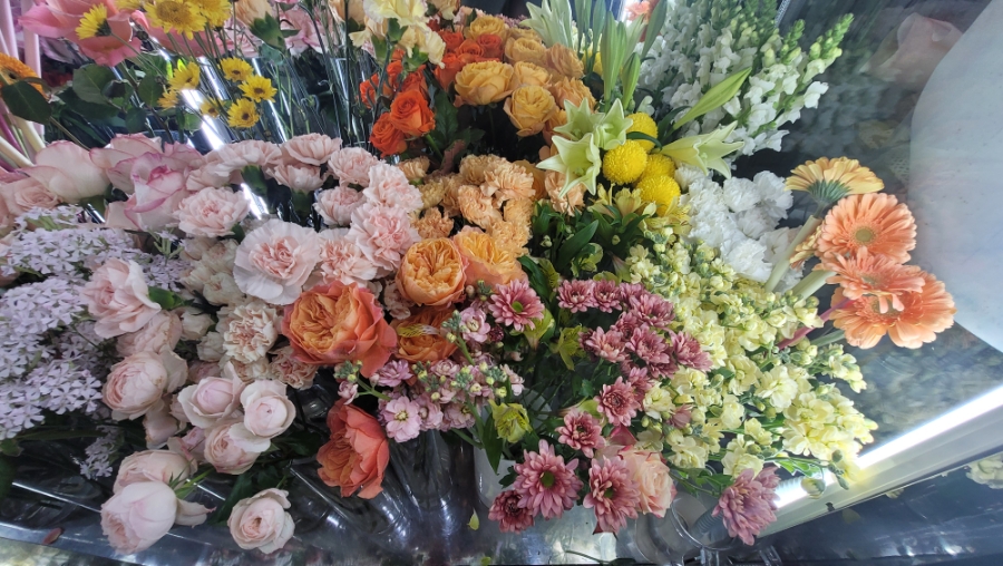 라마벨플라워 이미지
