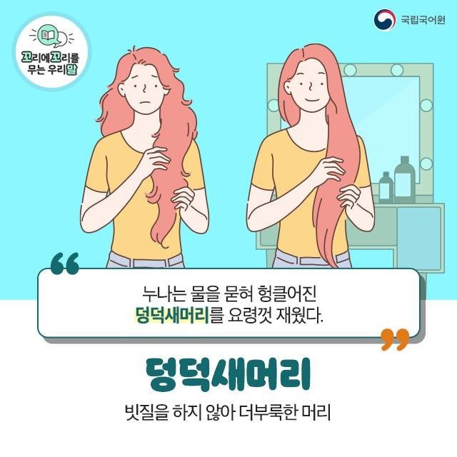 머리모양 이미지